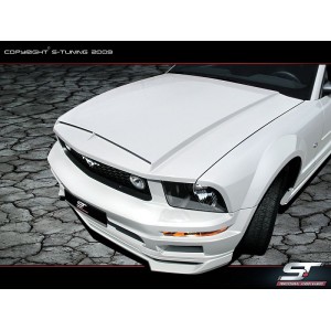 Ford Mustang MK5 tuning kapota