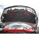 Peugeot 307 + CC (05-07) potah kapoty CARBON černý