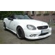 Mercedes Benz SLK R170 přední nárazník EXCLUSIVE LINE