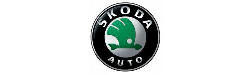 Stavitelný sportovní podvozek Škoda