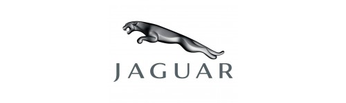 Jaguar XJ12 86-94