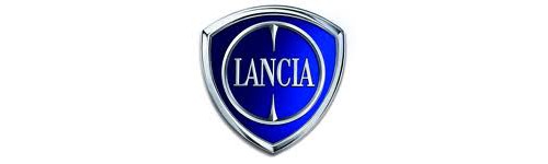 Lancia Ypsilon 2011-